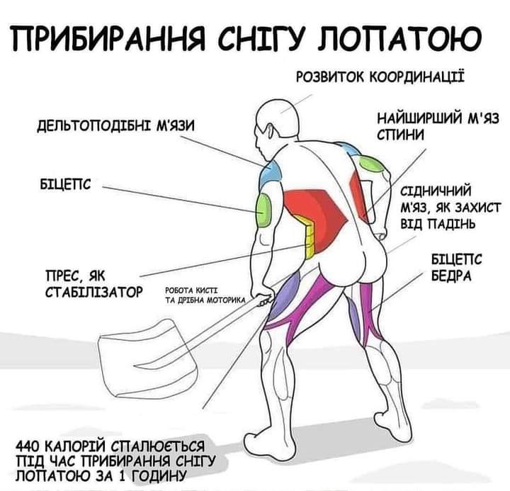 IMG-bcfe30934537066c69632bf2111054dc-V.jpg