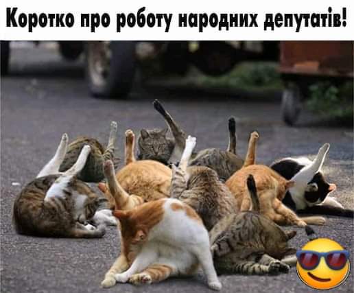 IMG-be5d6089408529e4bc3ca68734d33d45-V.jpg