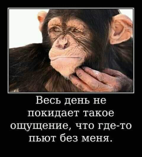 IMG-c0605c7589bff6070ee4e099eb480a67-V.jpg