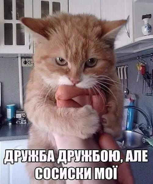 IMG-c12f7156b861dd96d691e4ee3602dc9c-V.jpg