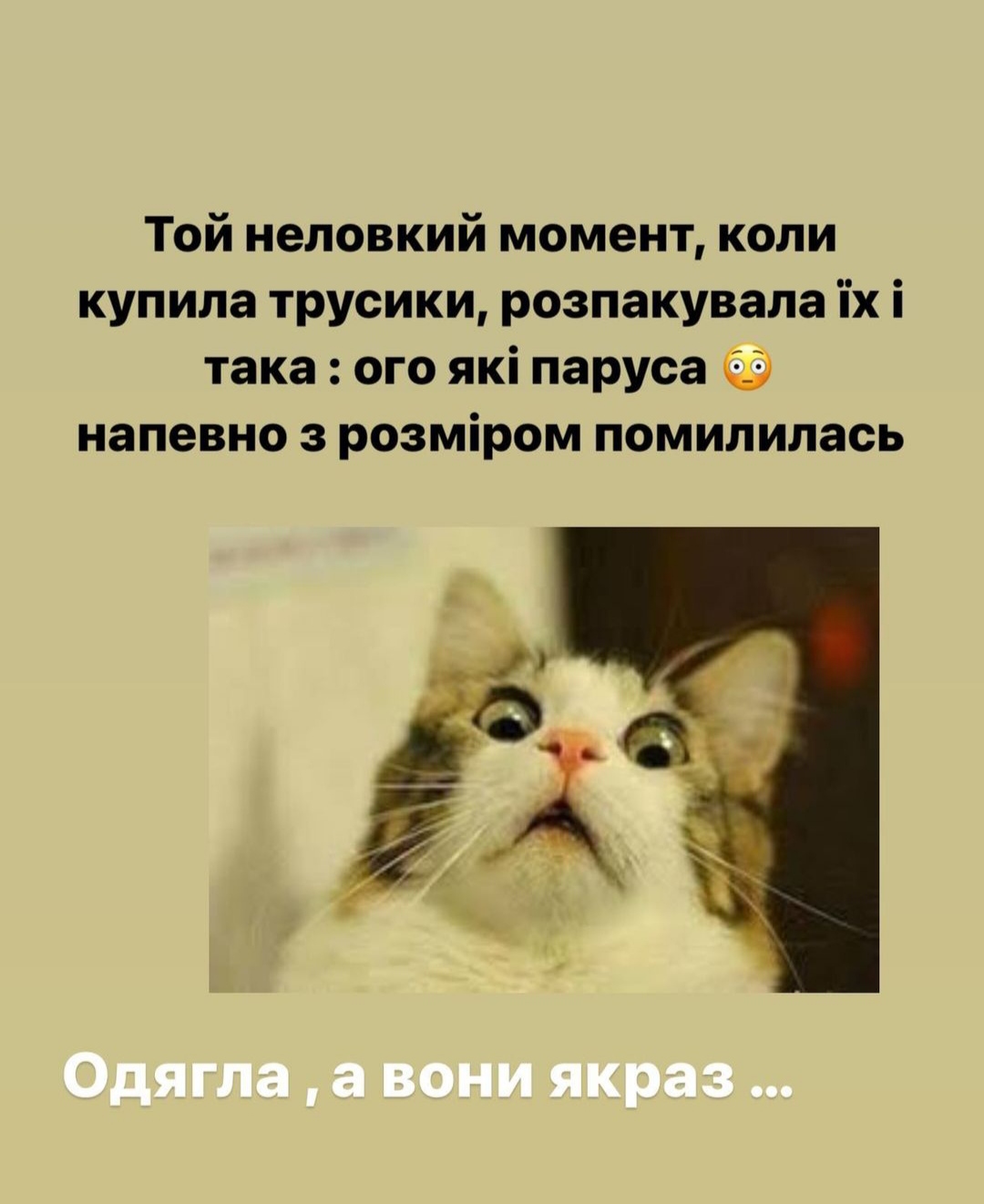 IMG-c7849d96a79fc14a362fc2c6ade051b8-V.jpg