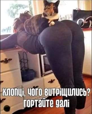 IMG-c852c98ba9b831989244dde30d83fb2c-V.jpg