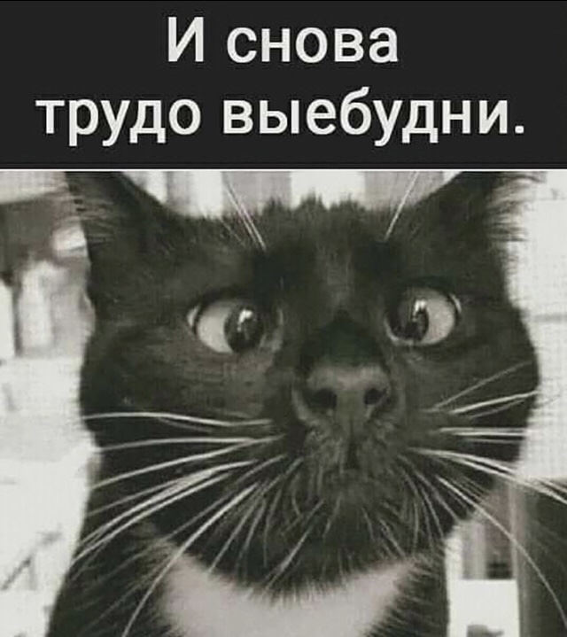 IMG-cb8ef23fb7d645e4734f8947f58f65e2-V.jpg