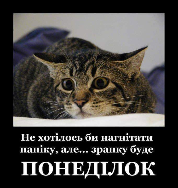 IMG-cfc10daea846657d46777401a71297a4-V.jpg