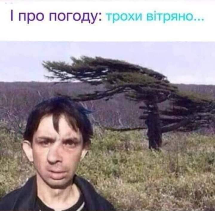 IMG-d2e34b649a476a3e961e89d53aa73a89-V.jpg