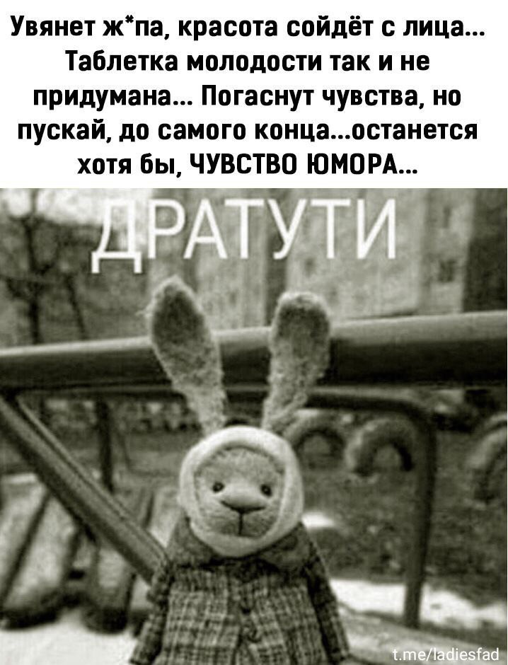 IMG-d4523228da955fc8742d80236edc0a4d-V.jpg
