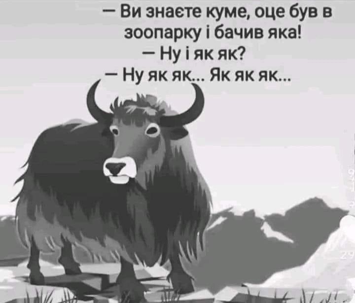 IMG-d45545cdd0259e38003b2ca40dddbad0-V.jpg