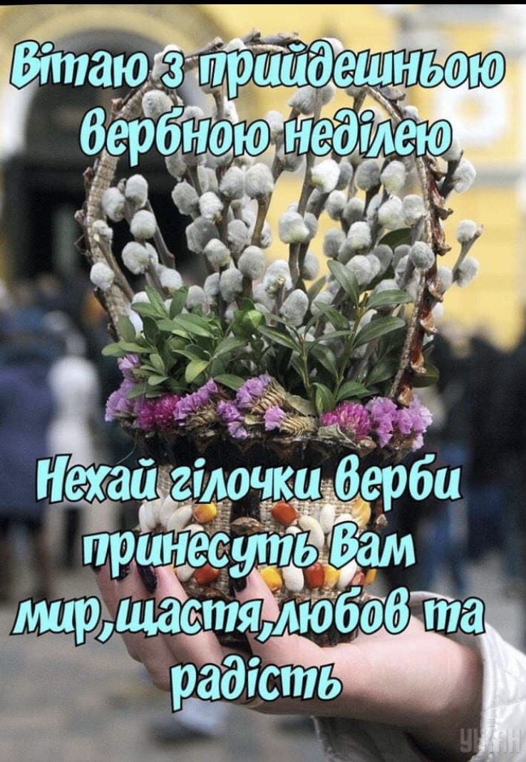 IMG-d4e16d3ea1d69a509f4288bd614950ea-V.jpg
