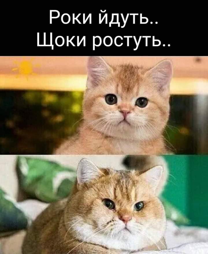 IMG-d5c2cc9be45bc5ecea8a521f5f9abee1-V.jpg