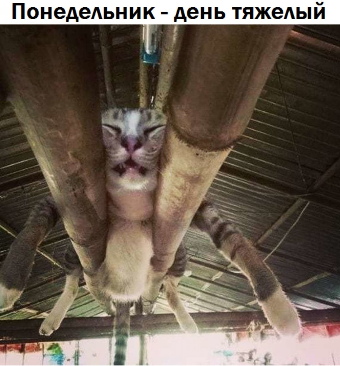 IMG-d65ae7714400dadacb75d261e6eb56d8-V.jpg