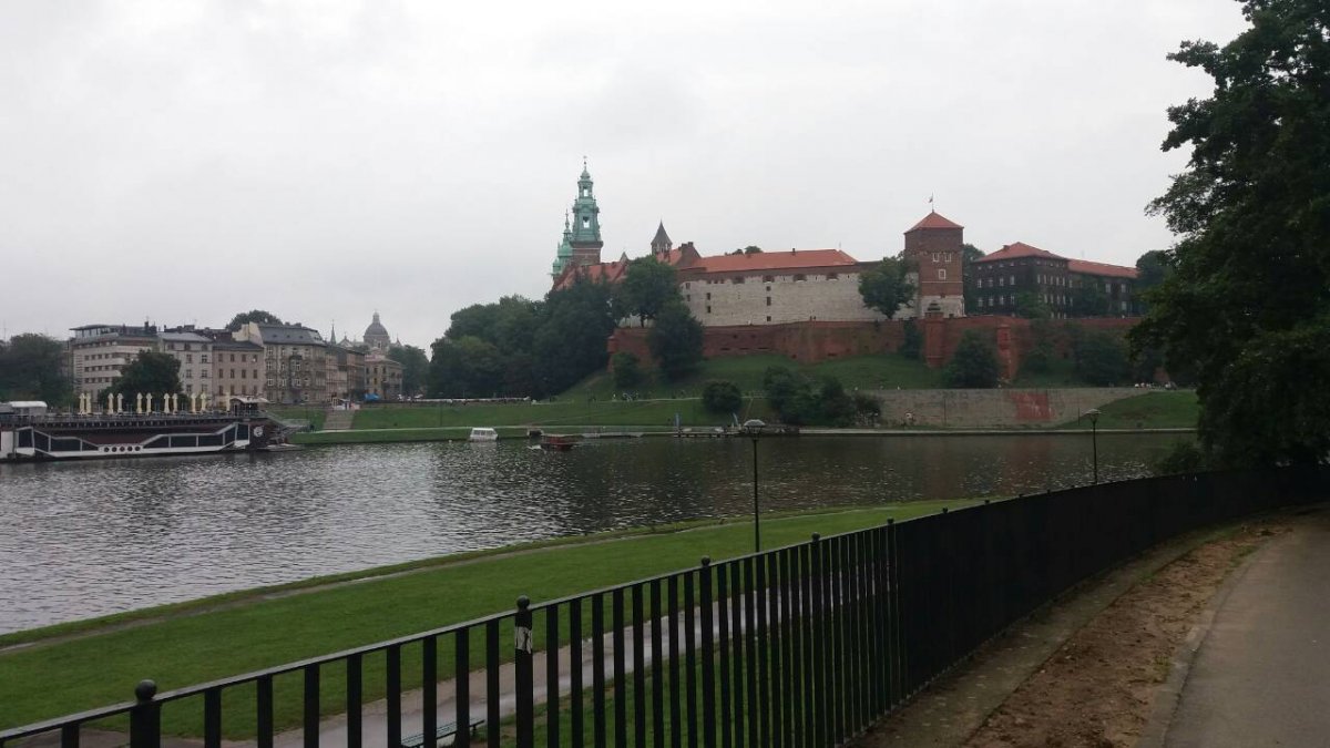 IMG-d6c233f8711471ea2ccf03555286fc02-V.jpg