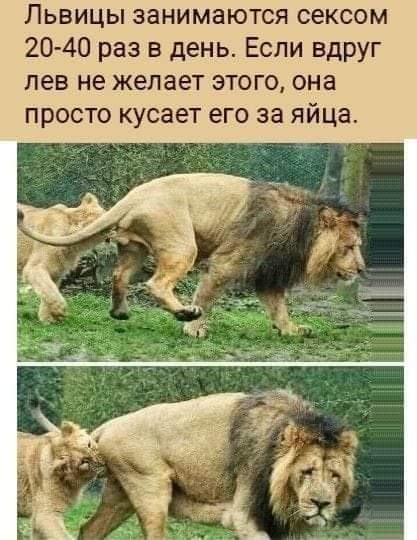 IMG-d950985c6ef73a6bf93bd07e87f918ef-V.jpg