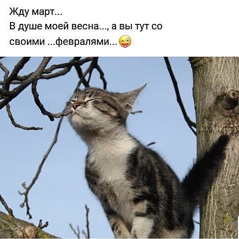 IMG-dd69a38ac0c8e2599a05ba6ac2f99470-V.jpg