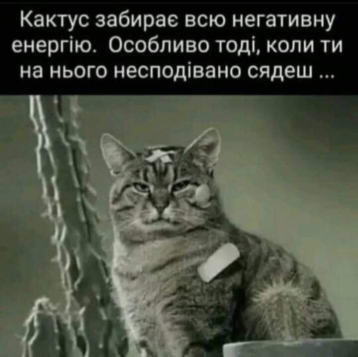 IMG-ddf0b23cd10defbbb99870a62455e38b-V.jpg