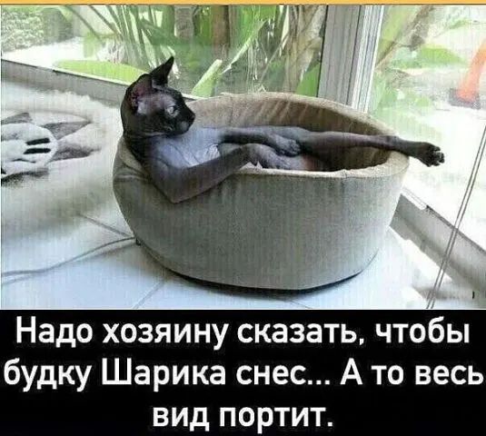 IMG-de7bdab955195ddeb00b193dc2776db6-V.jpg
