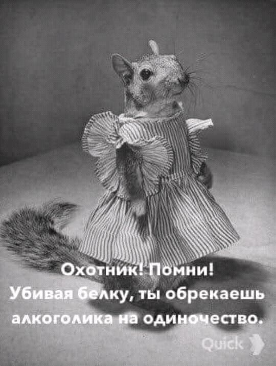 IMG-dedcf9a265b17e55b8611b7aa559a85a-V.jpg