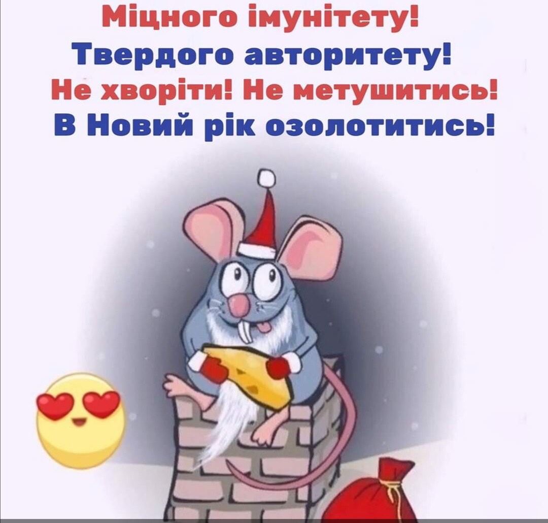 IMG-df1e4e83bfa842cd10852da3e80bde22-V.jpg