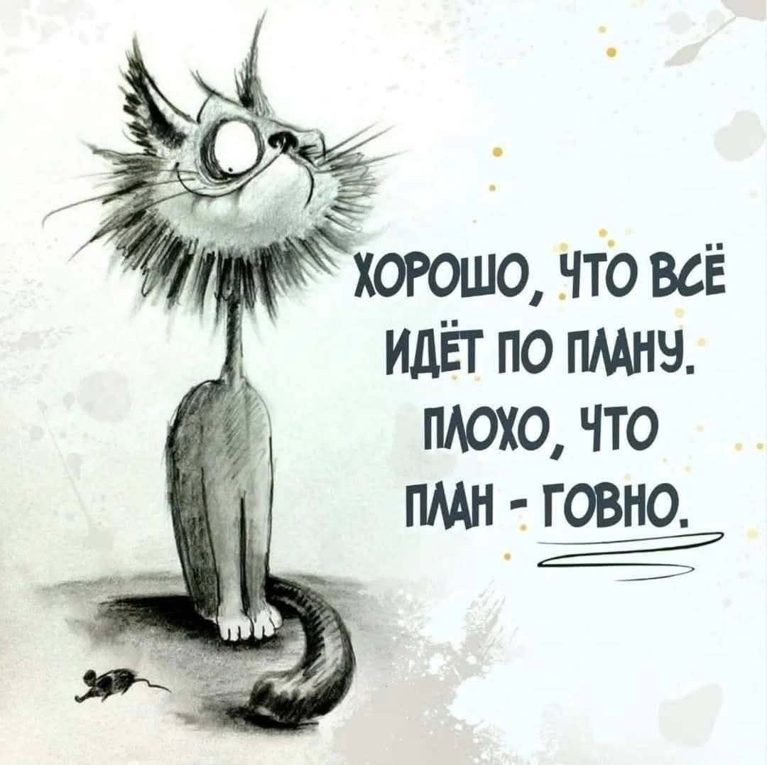 IMG-df499ea1810a81ae2c8090bff1fccaab-V.jpg
