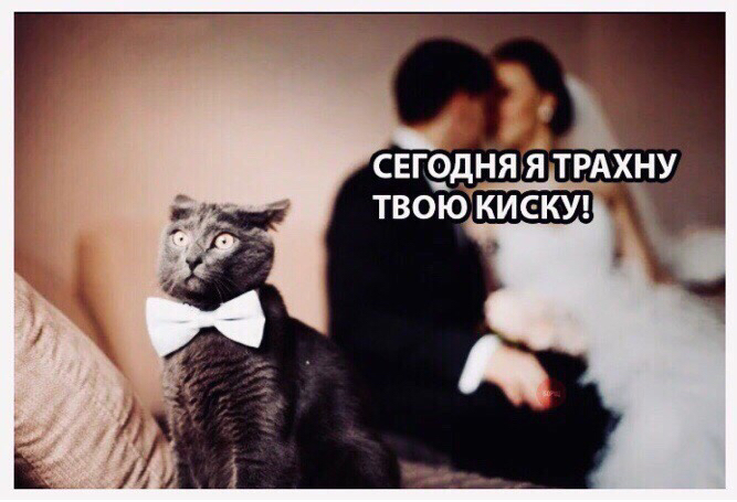 IMG-e00e061359027c0d28ba53e52e439192-V.jpg