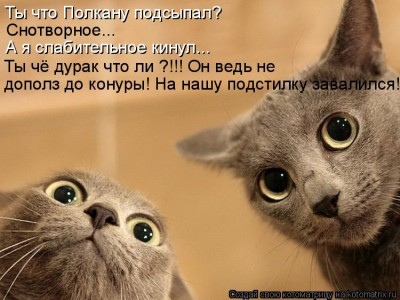 IMG-e04b3a020f6ad806608e7cc184ea2b1e-V.jpg