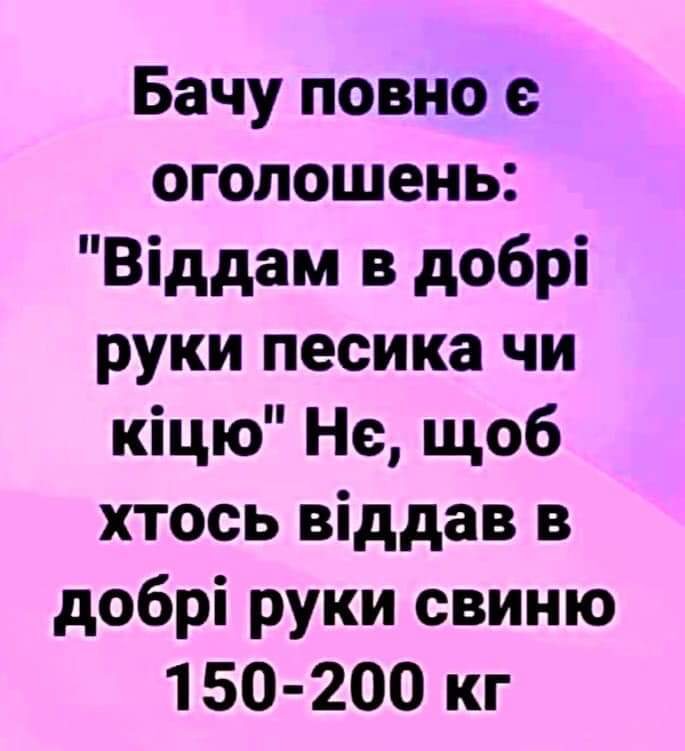 IMG-e0cc9adbeb99145cd1188f3779996a55-V.jpg
