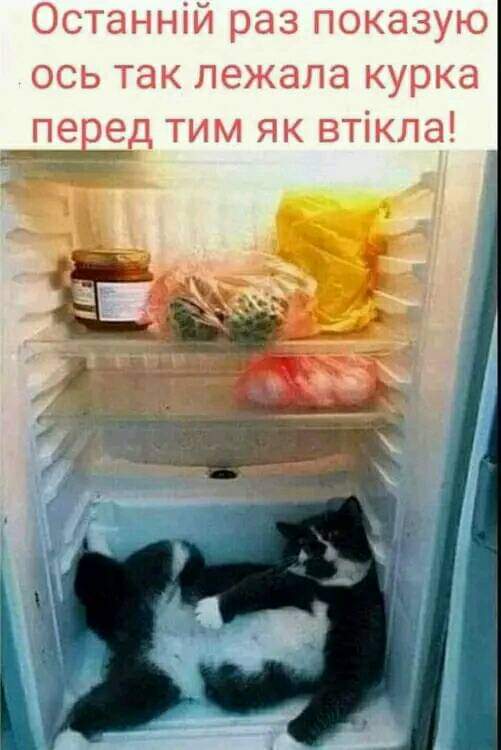IMG-e0f80ea8c5dac14cdcb67a50ae0bbf6e-V.jpg