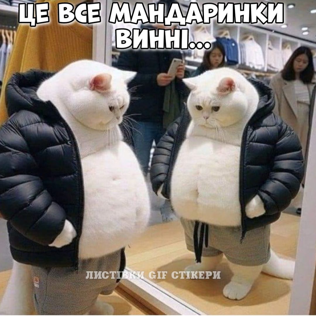IMG-e3adb6fa2c0842ea0db0f22cb11bd068-V.jpg