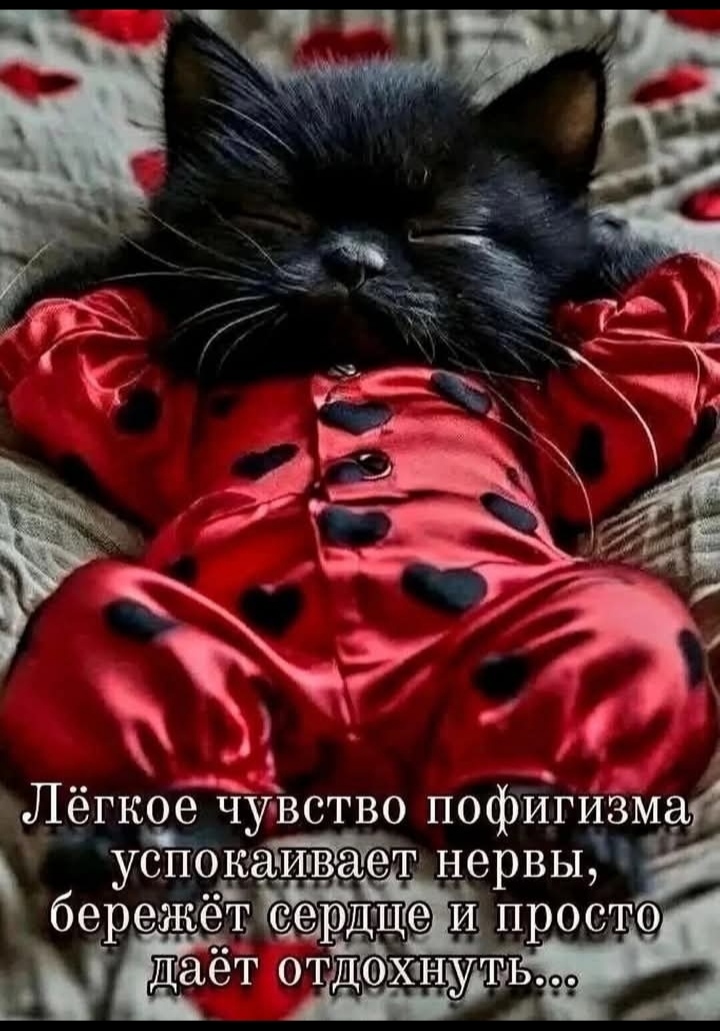IMG-ed0c0c6427f379905d0dcabc38fd7fe8-V.jpg