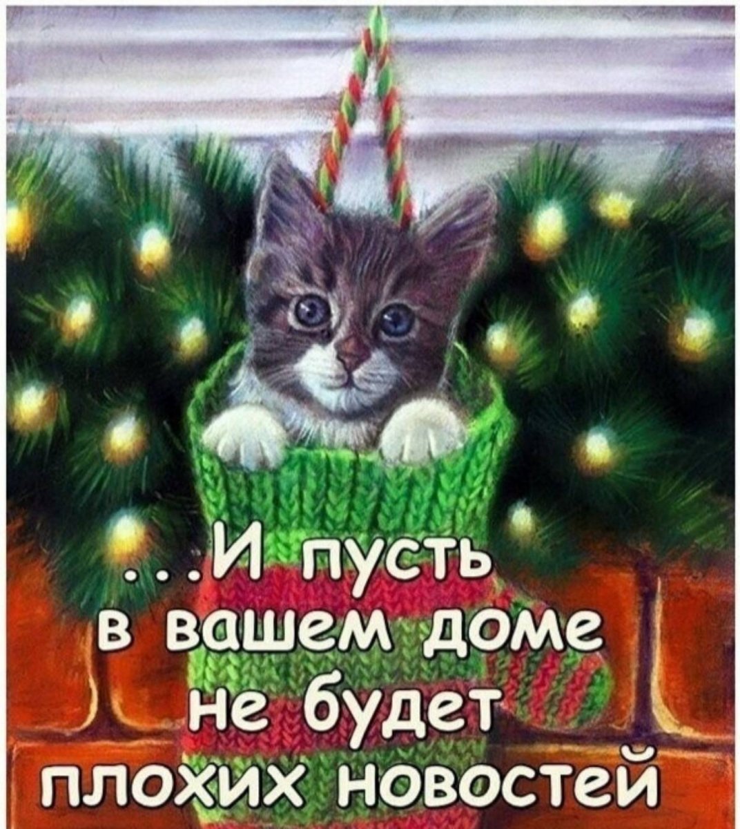 IMG-edbd2bf994be4858ddba0afd3fb7a9d6-V.jpg