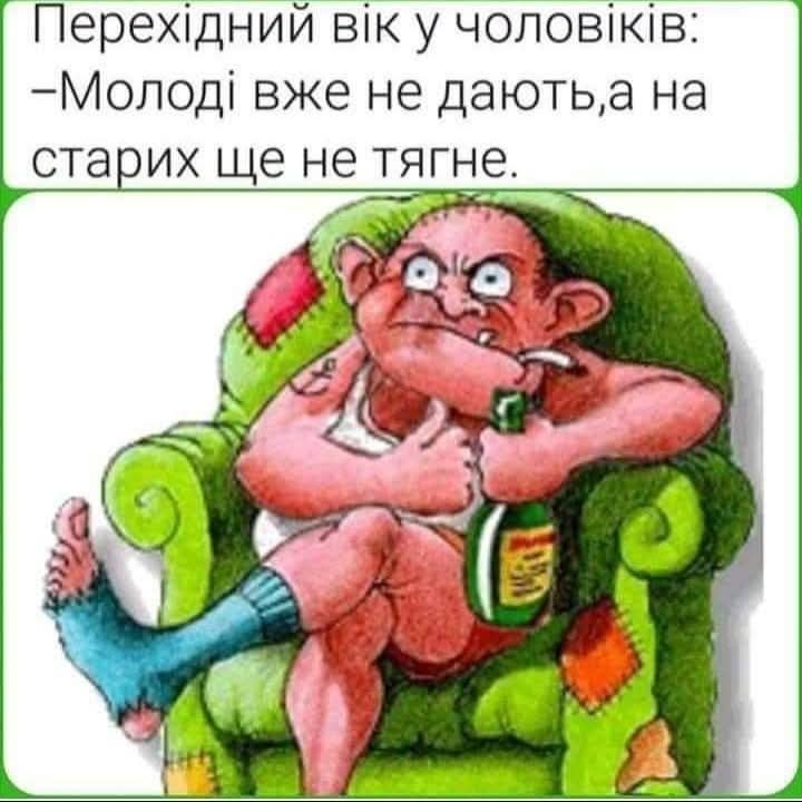 IMG-ee1aeb52cb1ecf114558961dcdd34670-V.jpg