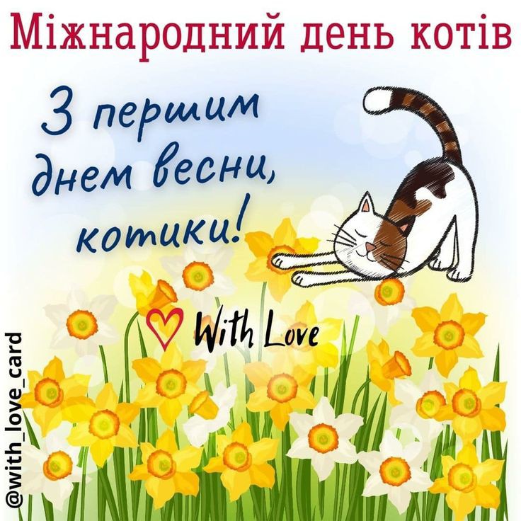 IMG-f7caa609d81f3c590ada54eaef76125a-V.jpg