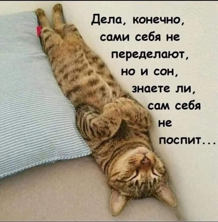 IMG-fa547119a8ad60478c38463b84a8710b-V.jpg