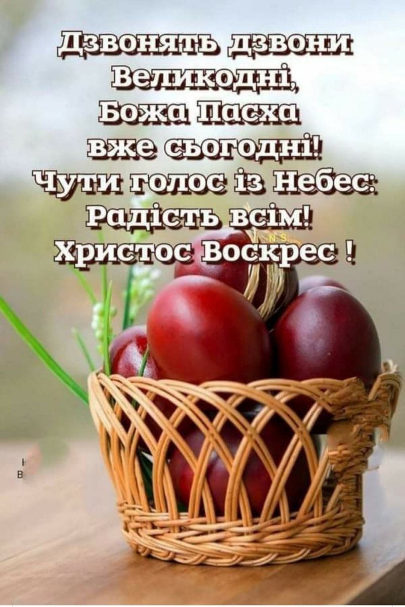 IMG-fc85fb58c4f65a6df81375b114ec4959-V.jpg