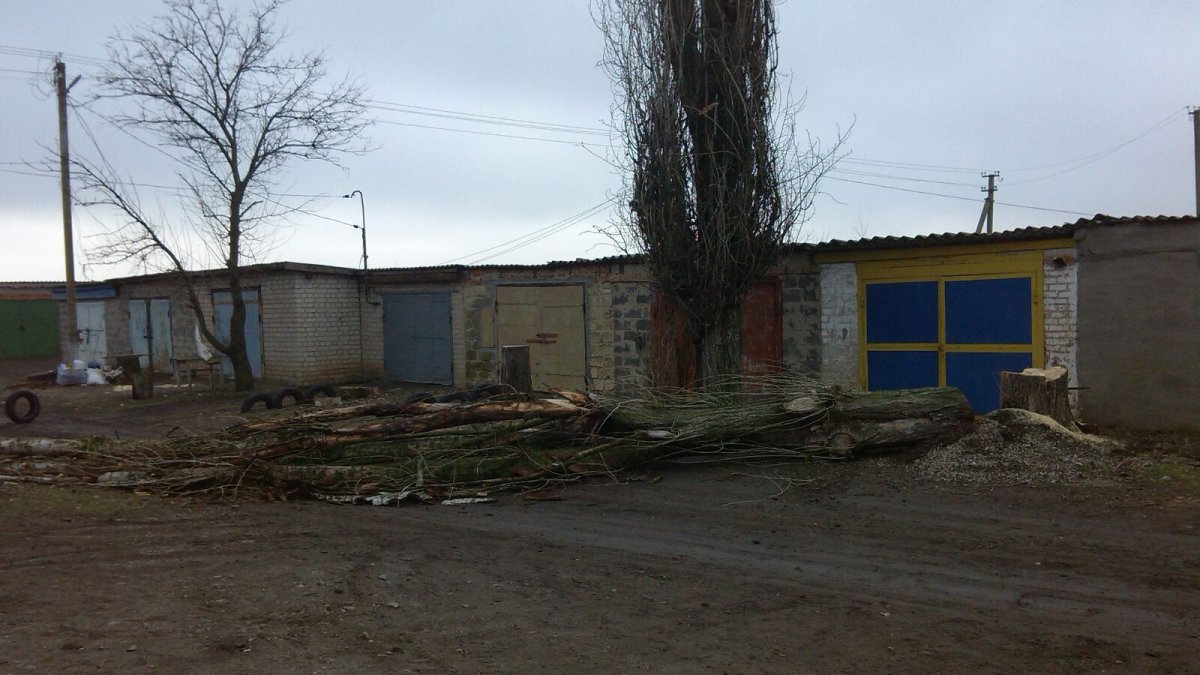IMG-fd26f0710bbceb2943cfc033b36c3ff6-V.jpg