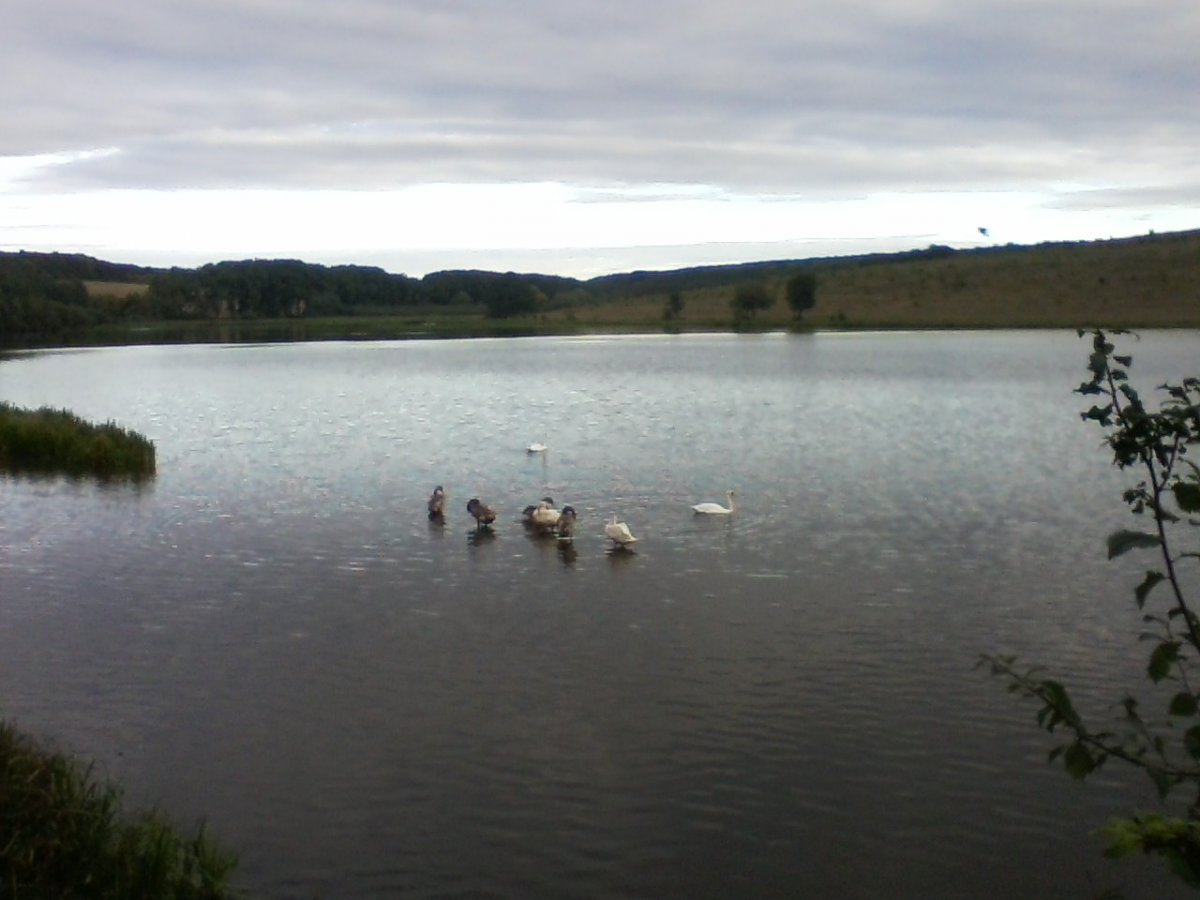 IMG00325.jpg