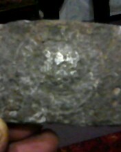 IMG0117A.jpg