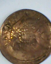IMG0127A.jpg