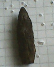 IMG0140A.jpg