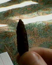 IMG0141A.jpg