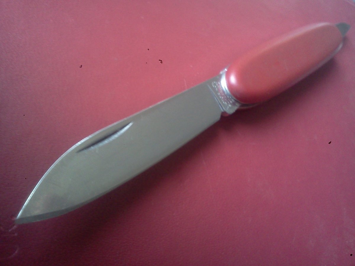 IMG2047.jpg