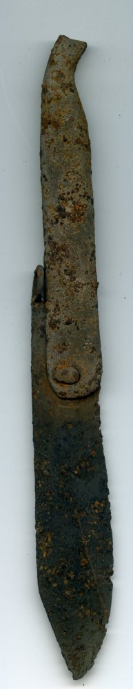 img590.jpg