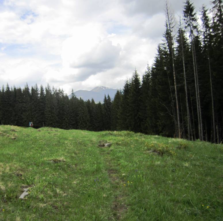 IMG_0015.JPG