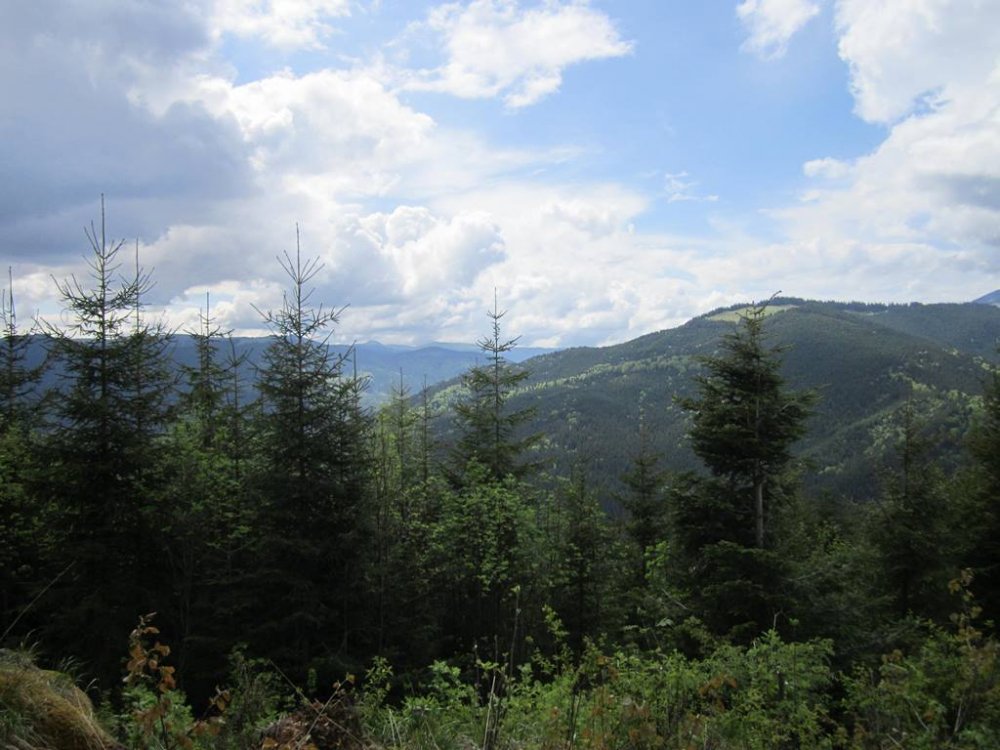 IMG_0040.JPG