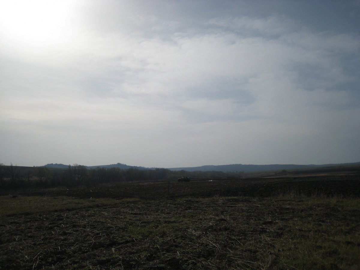 IMG_0040.JPG
