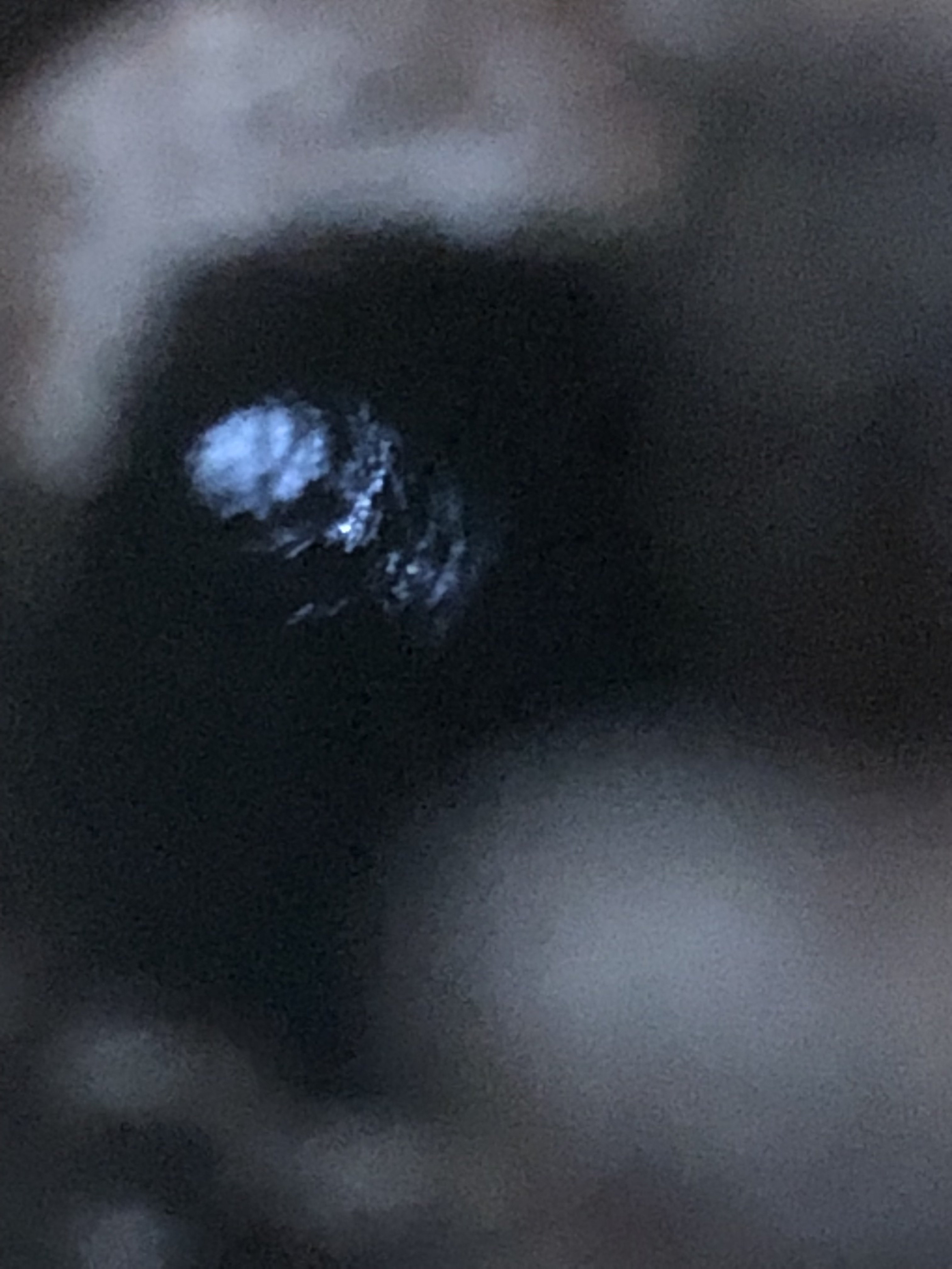 IMG_0104.jpeg