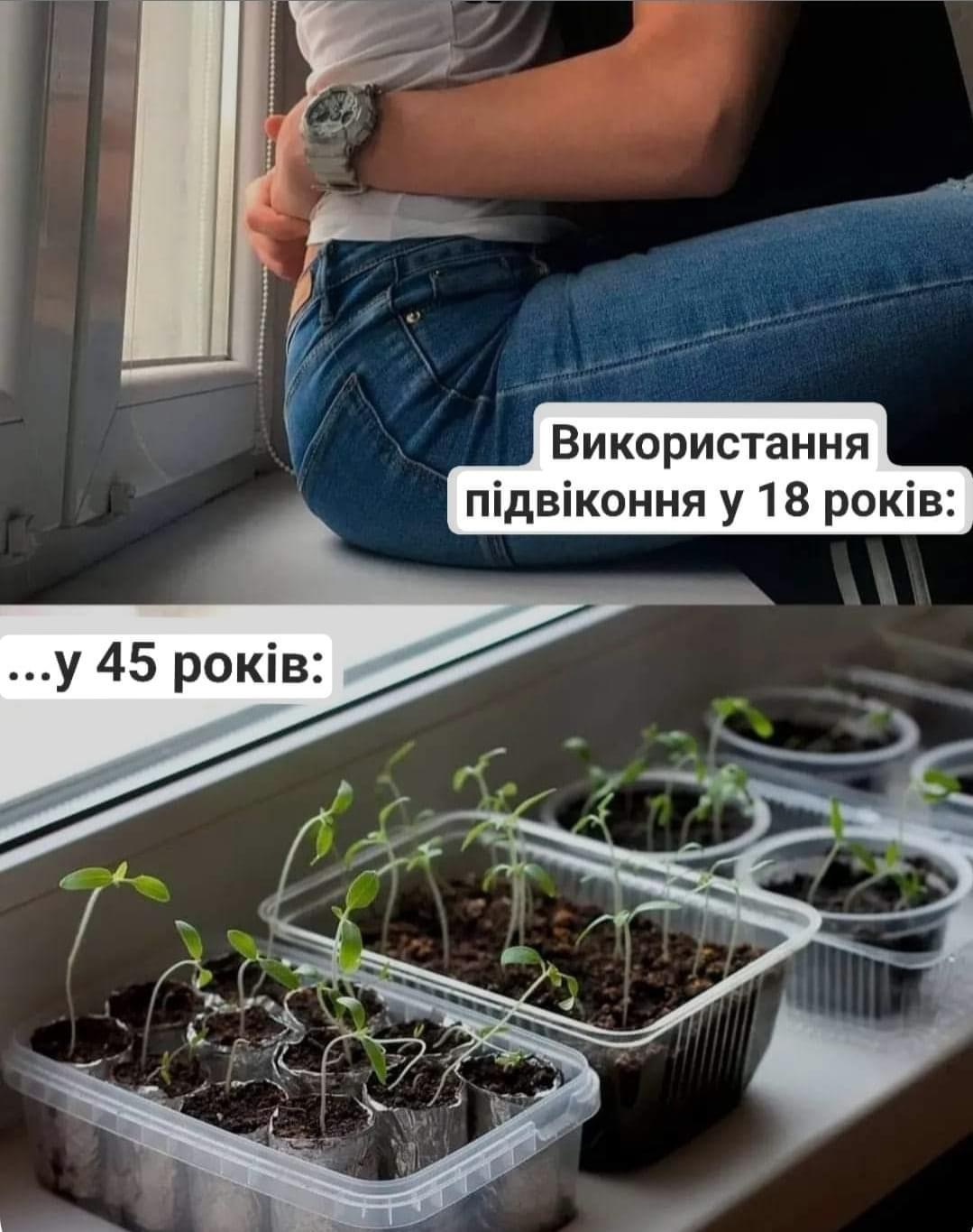 IMG_0259.jpeg