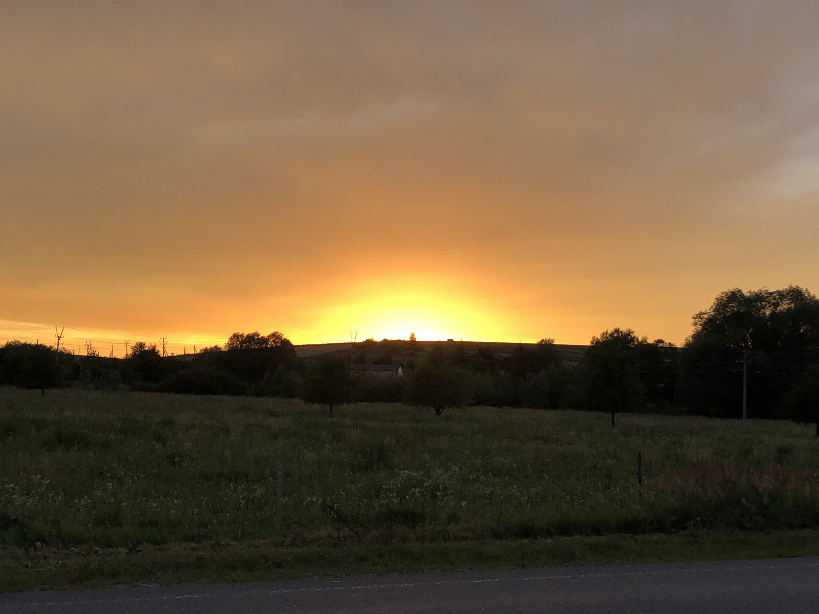 IMG_0303.JPEG