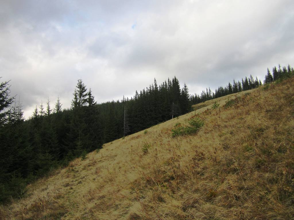 IMG_0600.JPG