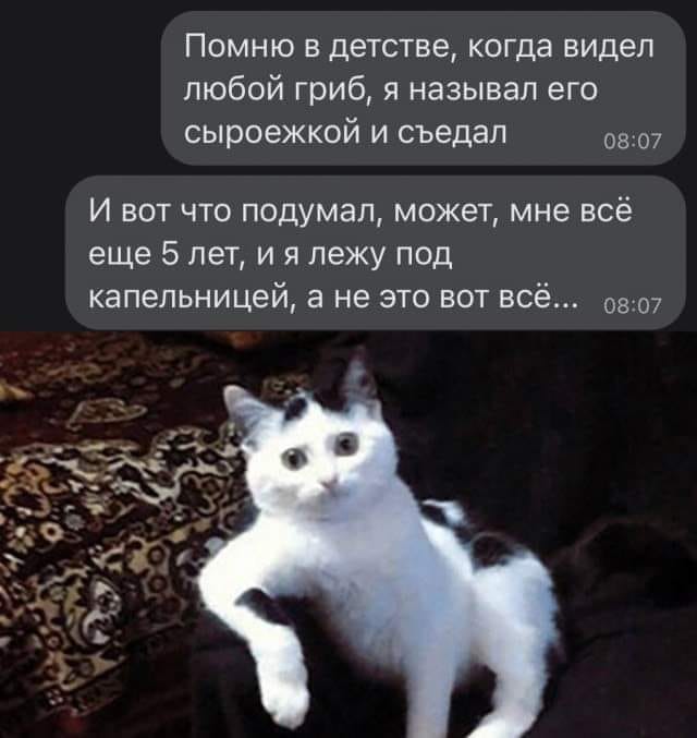 IMG_0622.jpeg