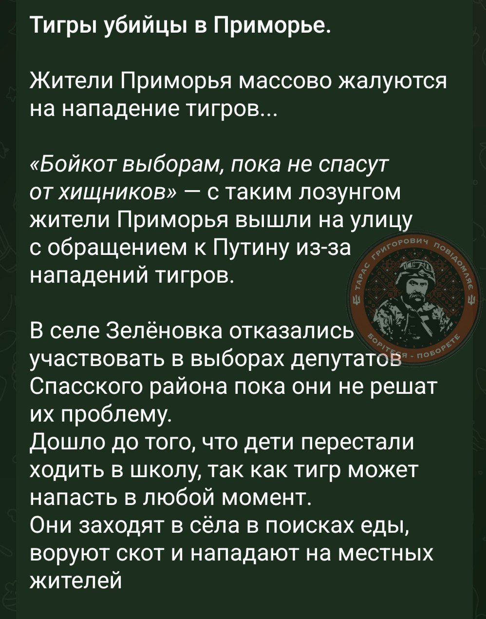 IMG_0826.jpeg